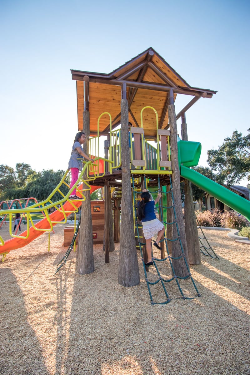 Grape Day Park preview 20